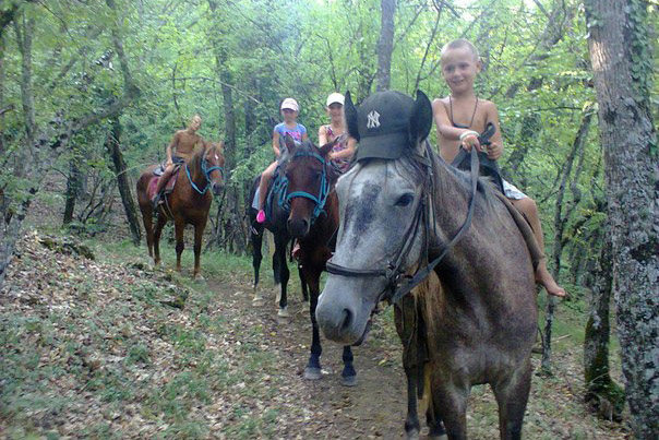 Конные прогулки в Крыму 